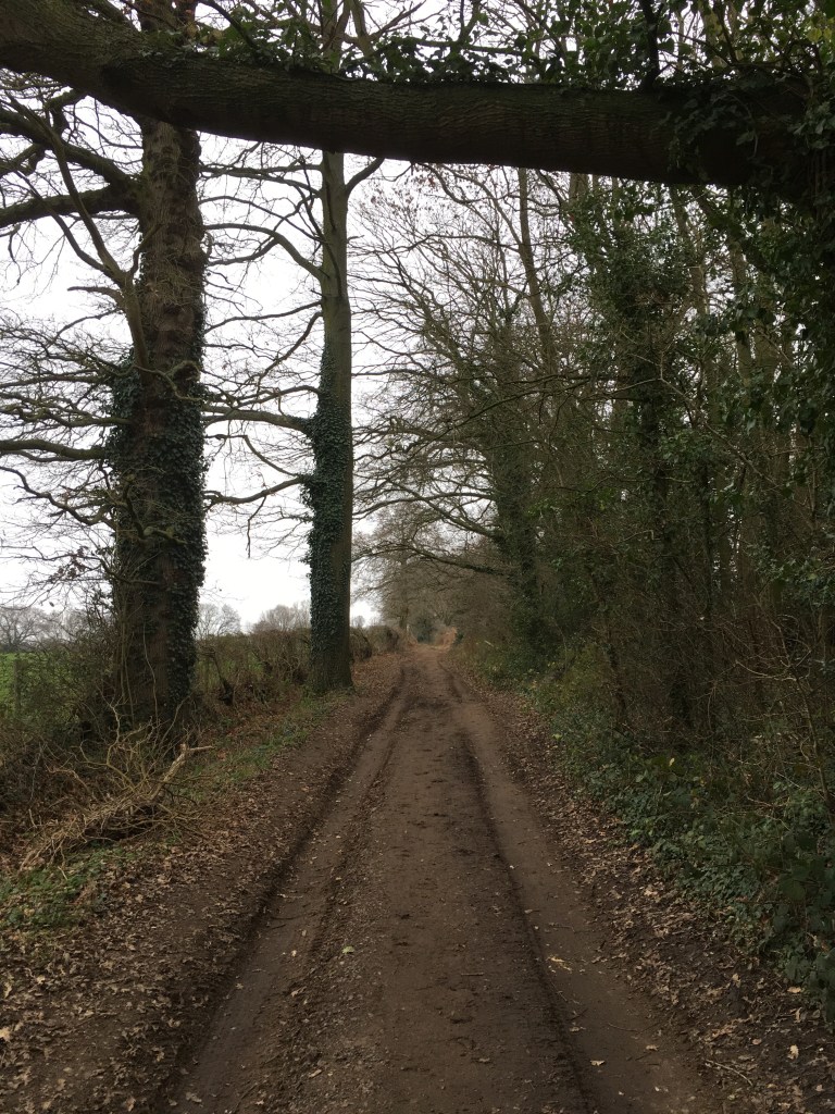 Tyre tracks leading up a muddy track.
