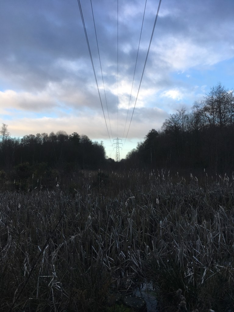 A nature reserve.  Power lines overhead stretch into a sky that’s a mix of clear blue and threatening grey.