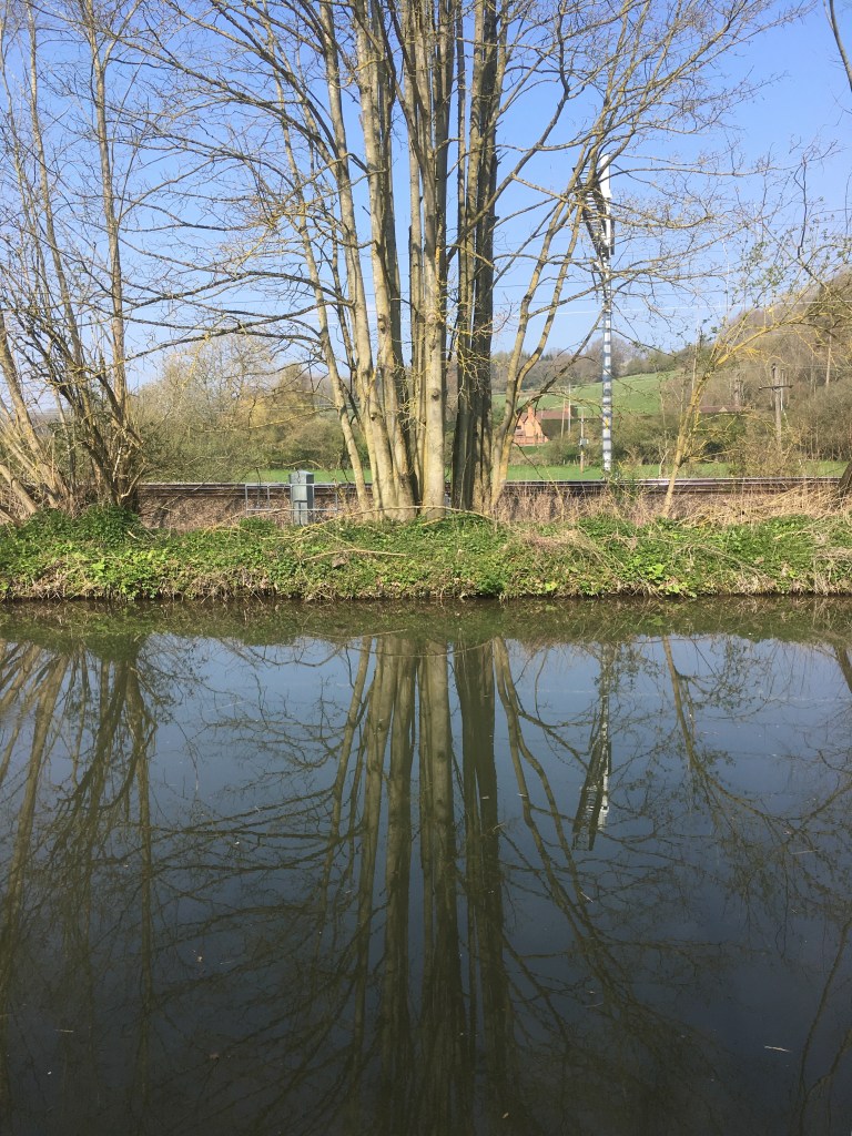 A photo of a canal.  A tree standing on the far bank is reflected in the still water.