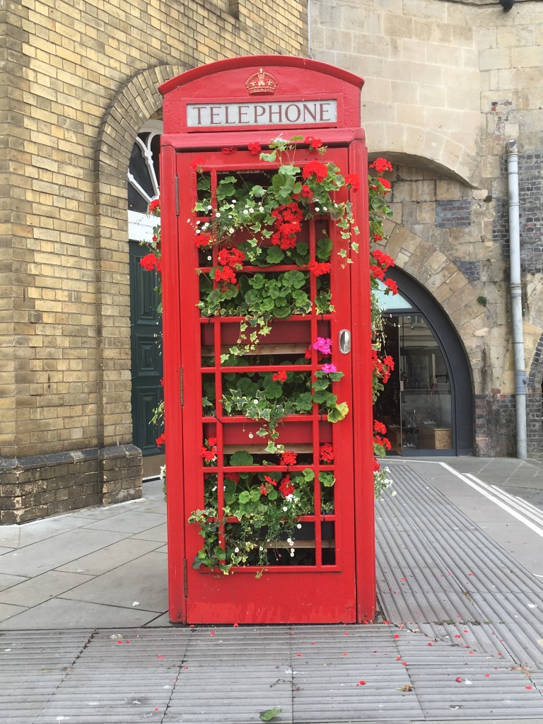 A photo of an old red telephone being used as a planter for flowers growing out of it