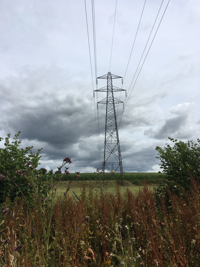 A phot of an electricity pylon in a farm field under thick grey cloud.