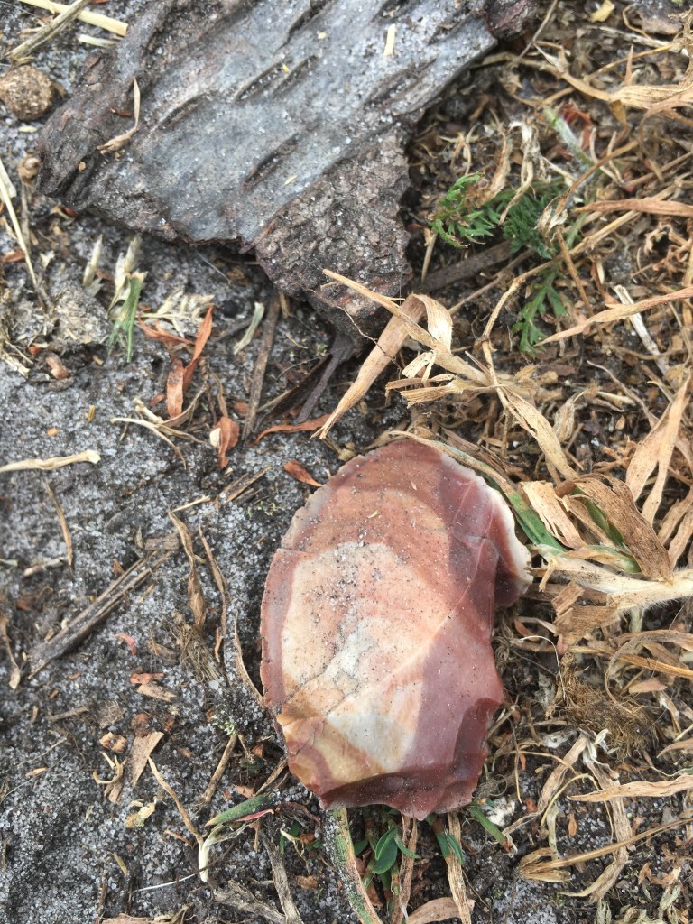 A photo of a piece of notched park and a flint containing rings in various shades of orange.