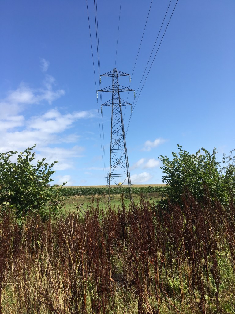 A photo of electricity pylons in a meadow