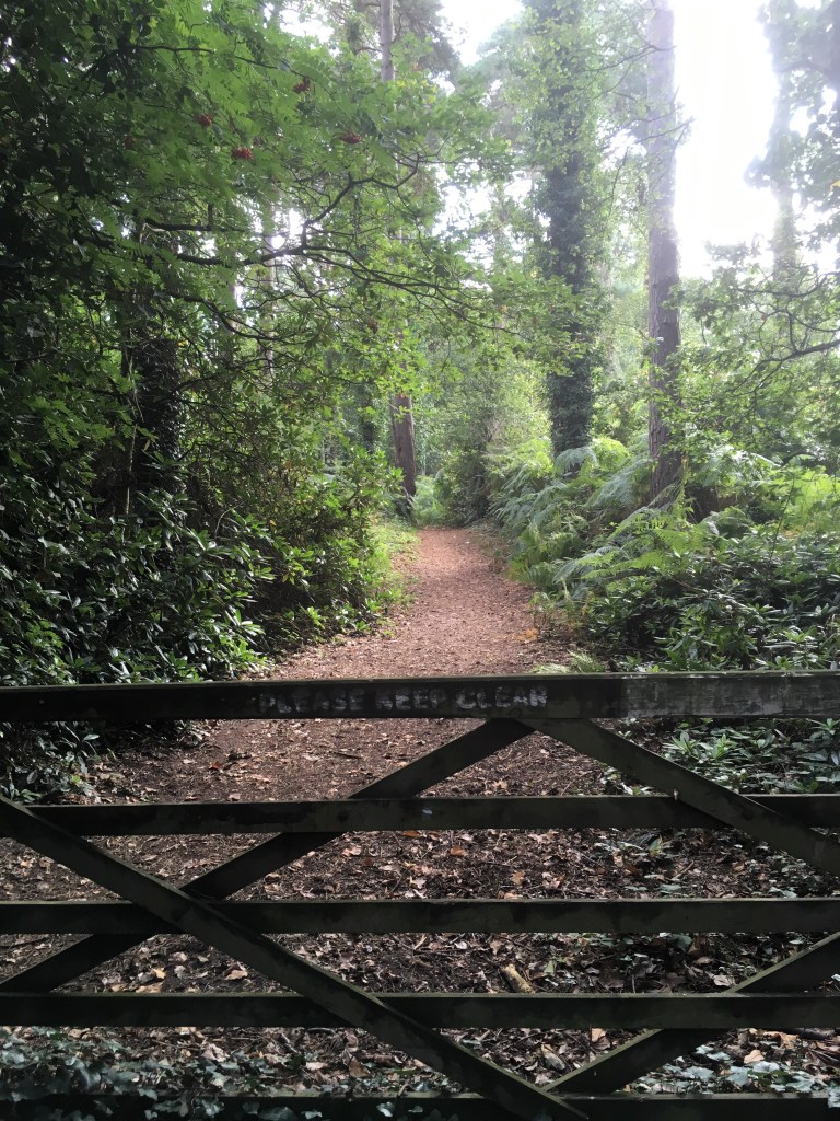 A photo of a wooden bat gate.  A woodland trail winds up a small hill beyond it.