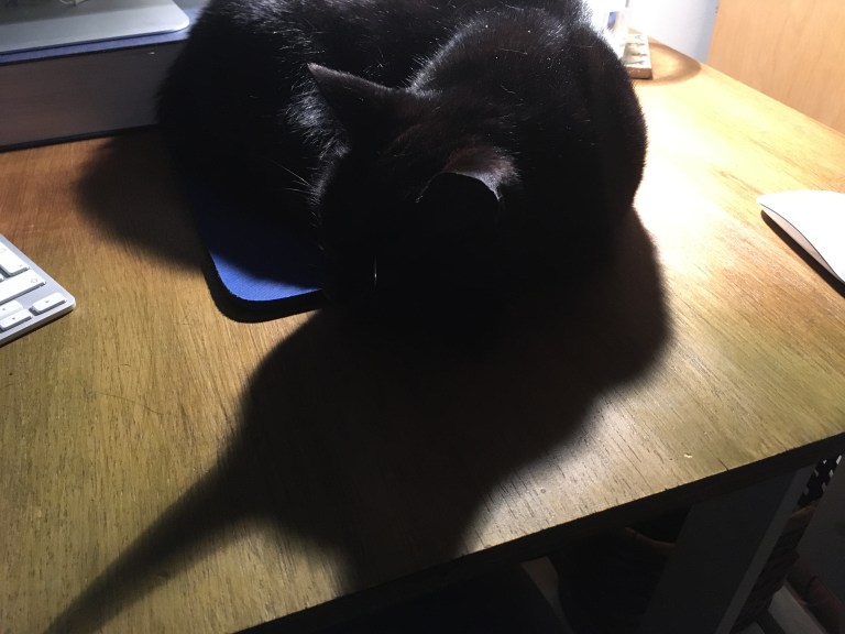 A photo of a black cat asleep on a computer mouse mat on a desk