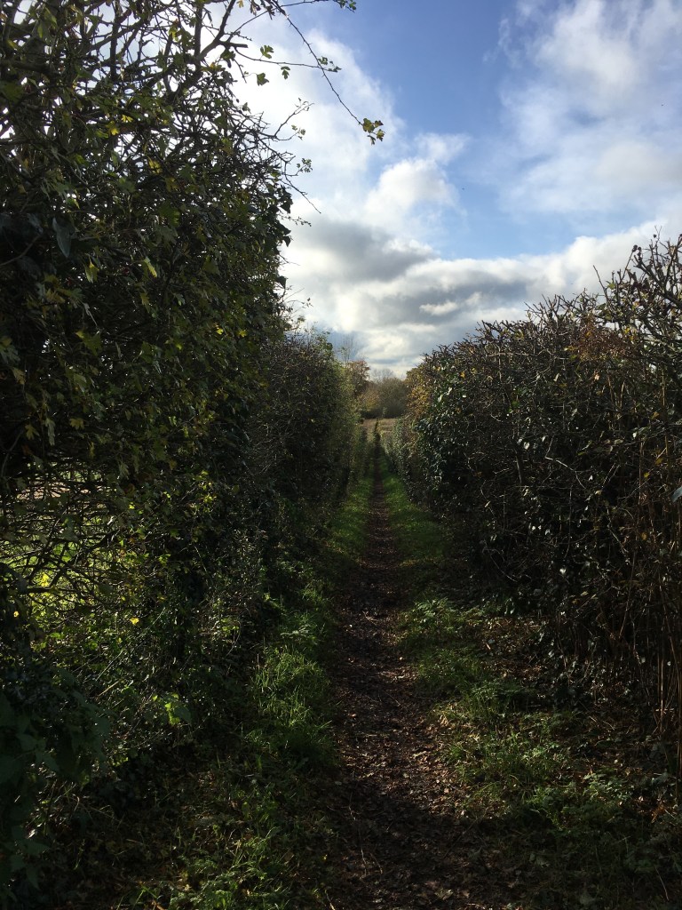 A photo down a narrow holloway 