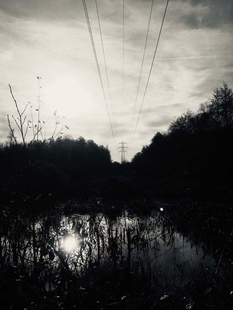 A photo of the sun and power lines above a nature reserve and reflected in a wetland pond below