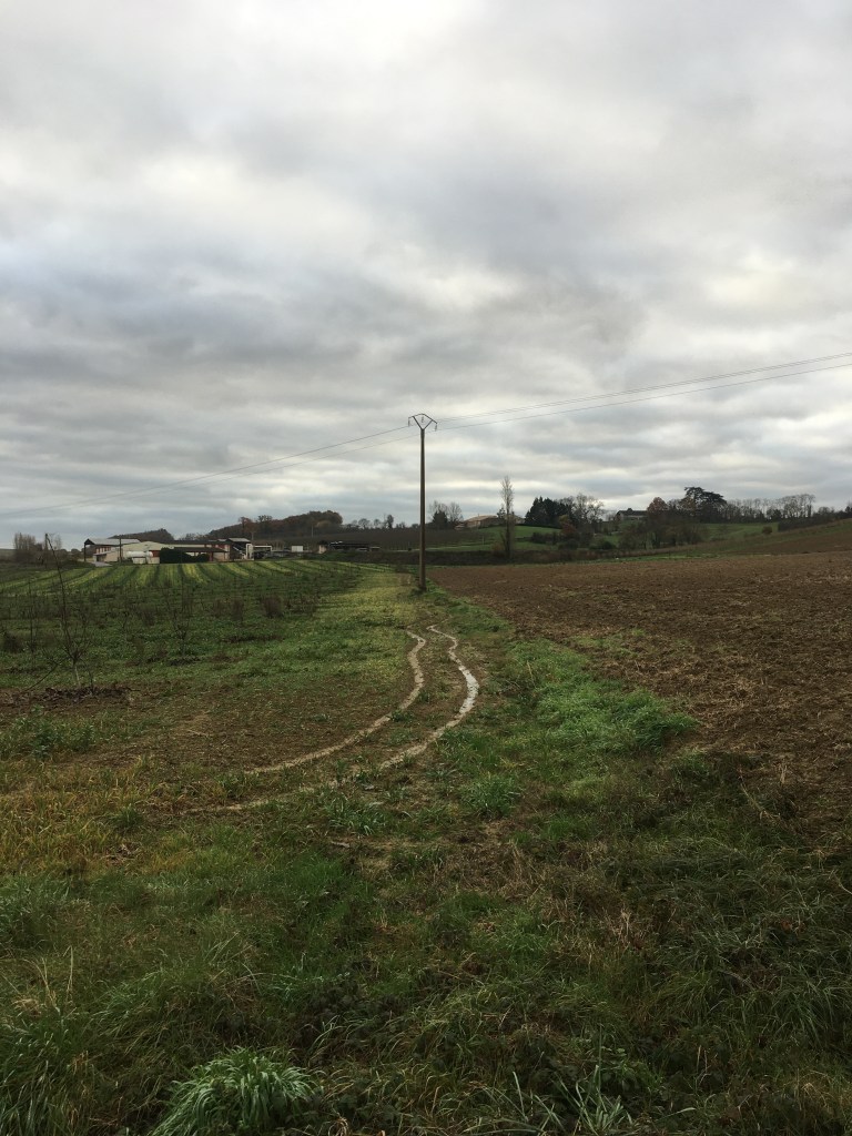 A photo of vehicle tracks leading to a telegraph pole between farm fields