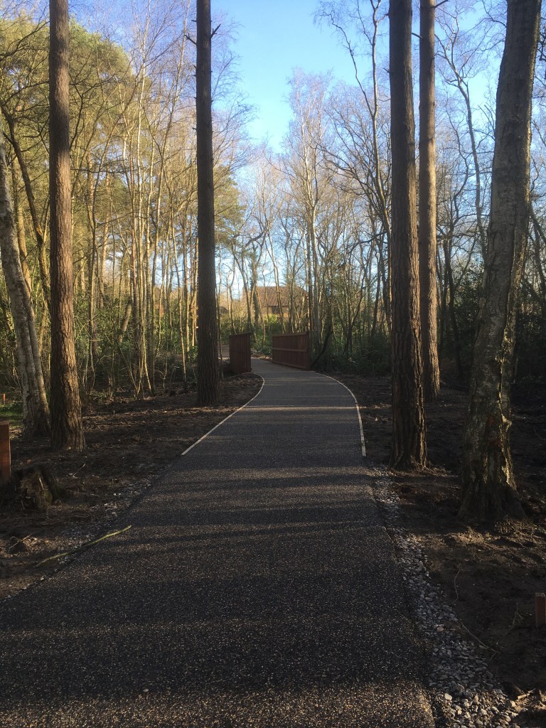 A photo of a woodland path over a bridge 