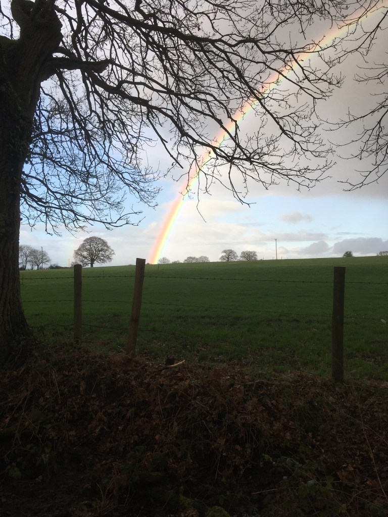 A photo of a rainbow over trees and farm fields