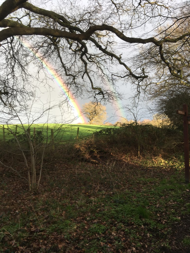 A photo of a rainbow over trees and farm fields.
