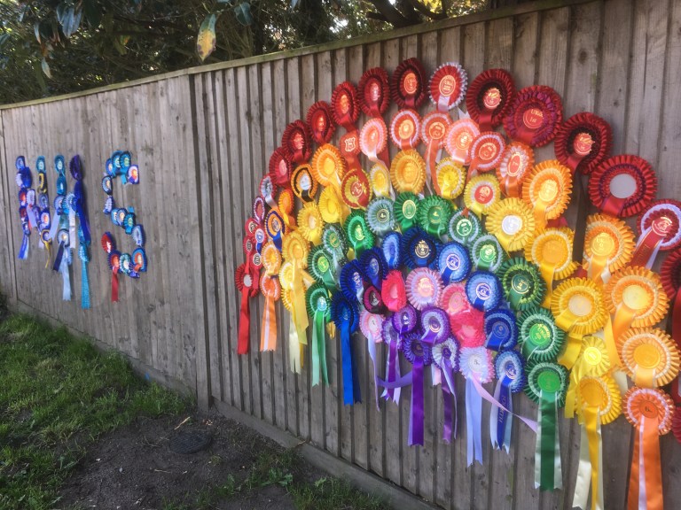 NHS and a rainbow made entirely out of rosettes pinned to a garden fence