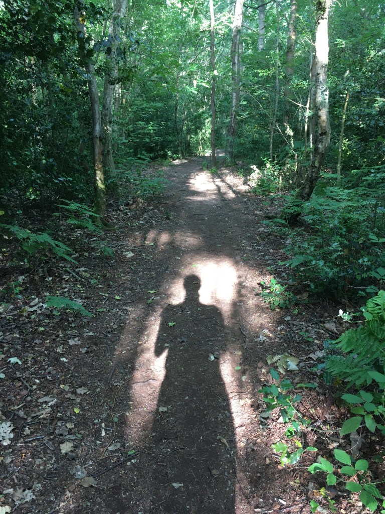 A photo of a person’s shadow on a woodland path.